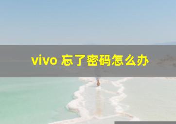 vivo 忘了密码怎么办